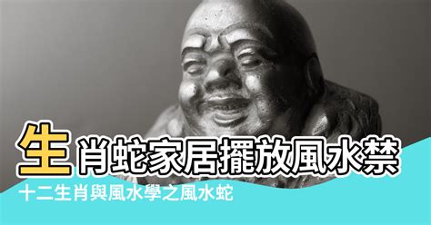 蛇到家裡|【家裡有蛇 代表】家中驚現蛇跡！代表吉兆還是凶兆？